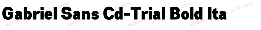 Gabriel Sans Cd-Trial Bold Italic字体转换